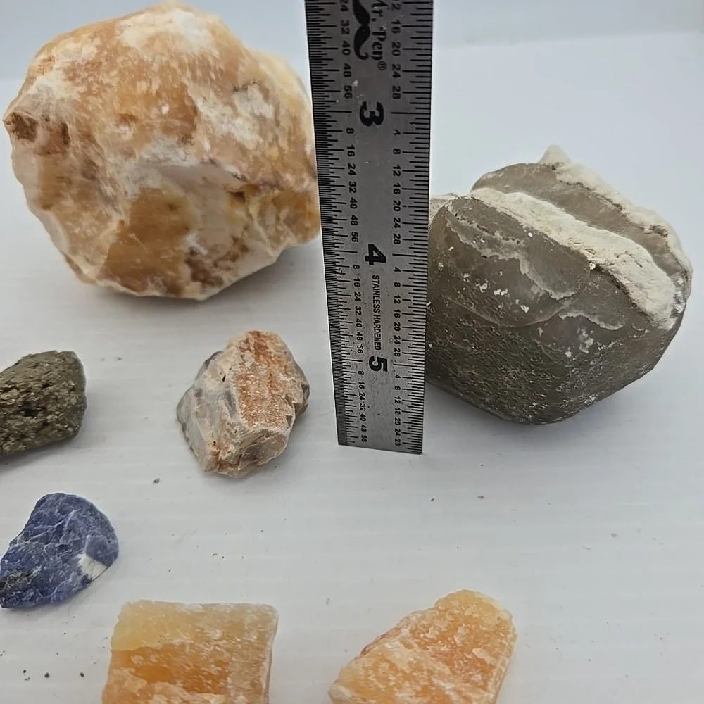 Unique Rock / Fossil Lot‎ Of 10